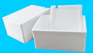 eps-foam-packaging-150130