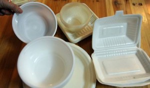 disposable-plastic-foam-box-150428