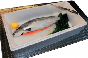 BU2_HIRSCH Fischbox_web